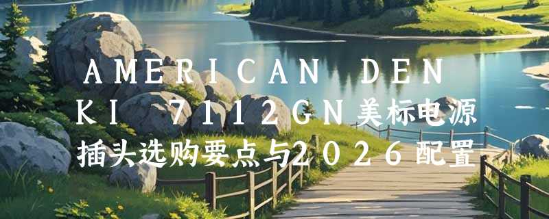 AMERICAN DENKI 7112GN美标电源插头选购要点与2026配置解析