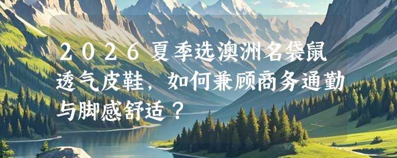 2026夏季选澳洲名袋鼠透气皮鞋，如何兼顾商务通勤与脚感舒适？