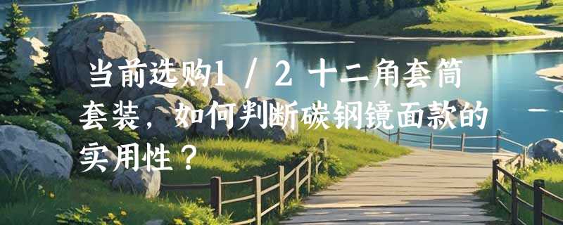 当前选购1/2十二角套筒套装，如何判断碳钢镜面款的实用性？