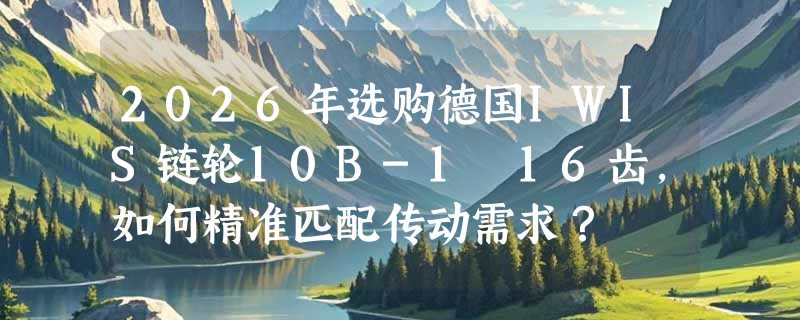 2026年选购德国IWIS链轮10B-1 16齿，如何精准匹配传动需求？