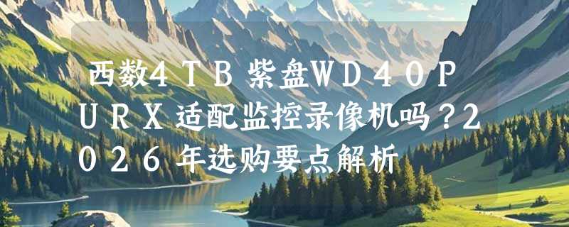西数4TB紫盘WD40PURX适配监控录像机吗？2026年选购要点解析