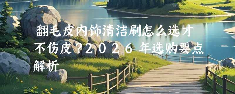 翻毛皮内饰清洁刷怎么选才不伤皮？2026年选购要点解析