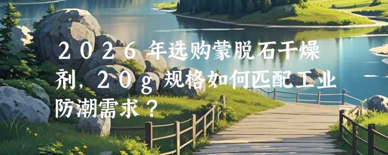 2026年选购蒙脱石干燥剂，20g规格如何匹配工业防潮需求？