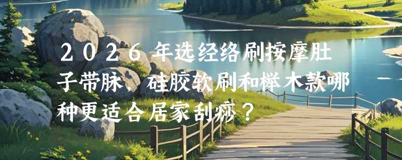 2026年选经络刷按摩肚子带脉，硅胶软刷和榉木款哪种更适合居家刮痧？