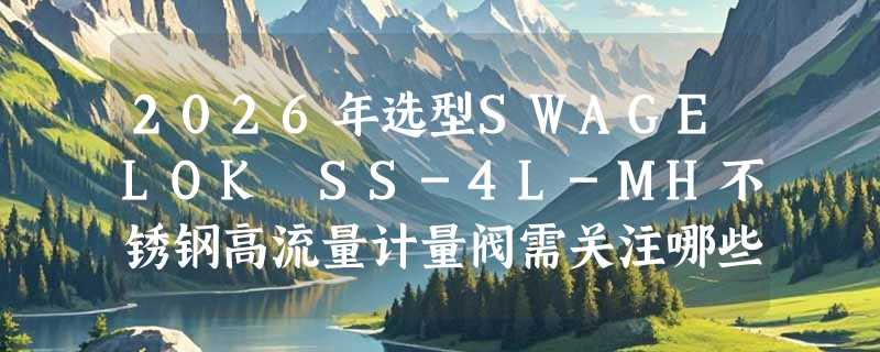 2026年选型SWAGELOK SS-4L-MH不锈钢高流量计量阀需关注哪些核心参数？