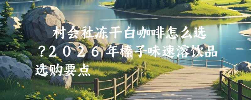 沢村会社冻干白咖啡怎么选？2026年榛子味速溶饮品选购要点