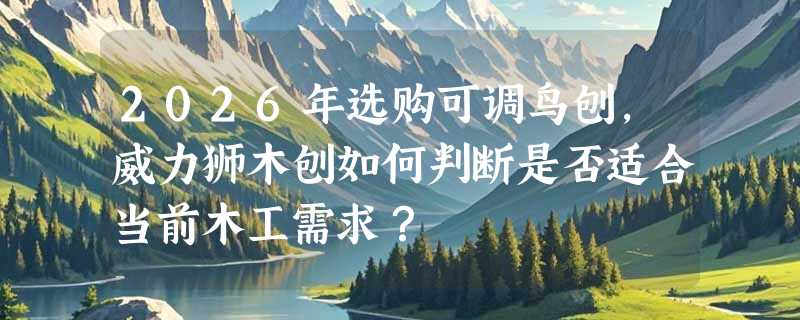 2026年选购可调鸟刨，威力狮木刨如何判断是否适合当前木工需求？