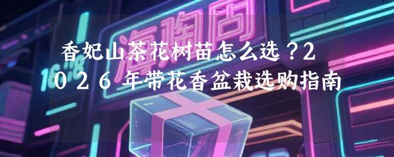 香妃山茶花树苗怎么选？2026年带花香盆栽选购指南