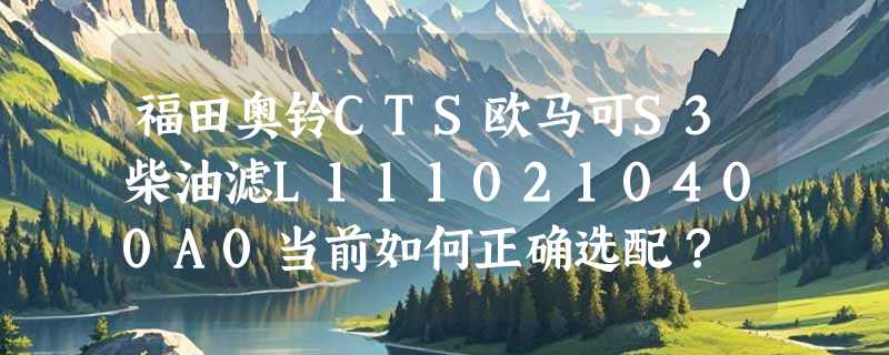 福田奥铃CTS欧马可S3柴油滤L1110210400A0当前如何正确选配？