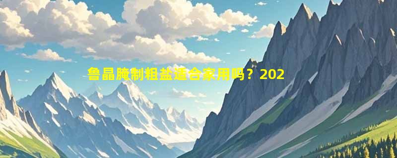鲁晶腌制粗盐适合家用吗？2026年无碘海盐选购要点解析