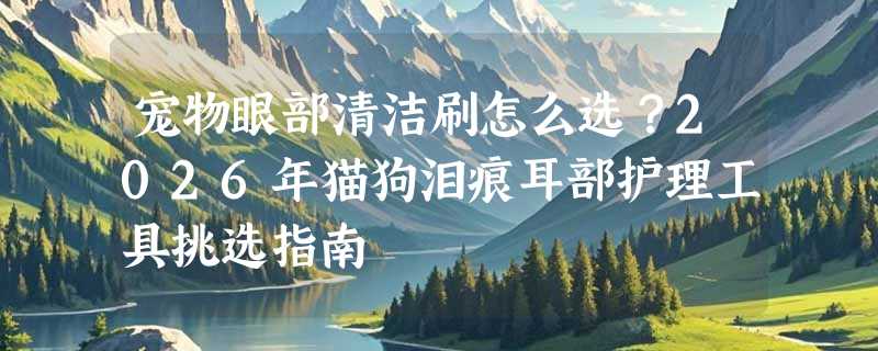 宠物眼部清洁刷怎么选？2026年猫狗泪痕耳部护理工具挑选指南