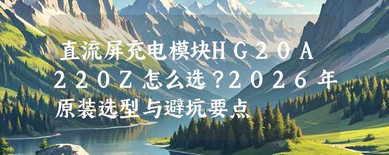 直流屏充电模块HG20A220Z怎么选？2026年原装选型与避坑要点