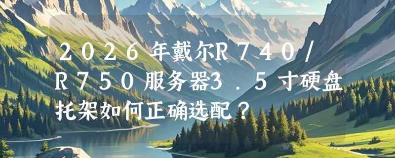 2026年戴尔R740/R750服务器3.5寸硬盘托架如何正确选配？