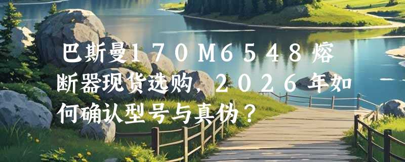 巴斯曼170M6548熔断器现货选购，2026年如何确认型号与真伪？