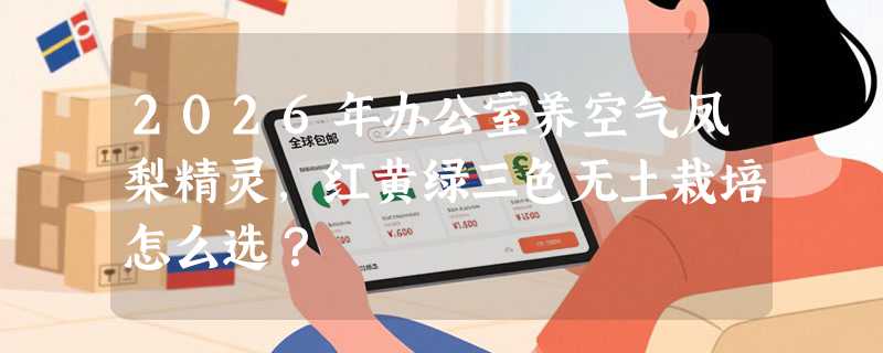 2026年办公室养空气凤梨精灵，红黄绿三色无土栽培怎么选？