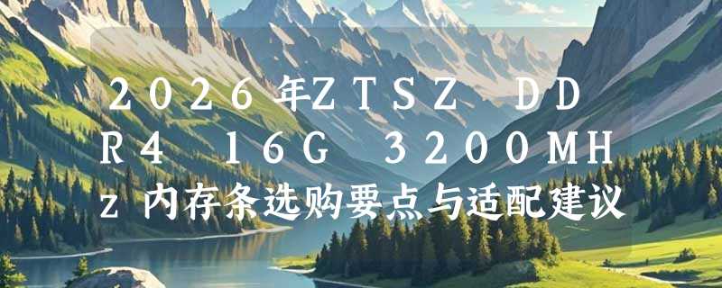 2026年ZTSZ DDR4 16G 3200MHz内存条选购要点与适配建议