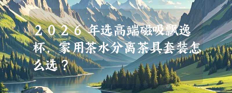 2026年选高端磁吸飘逸杯，家用茶水分离茶具套装怎么选？