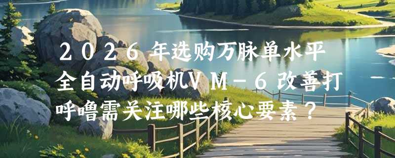 2026年选购万脉单水平全自动呼吸机VM-6改善打呼噜需关注哪些核心要素？