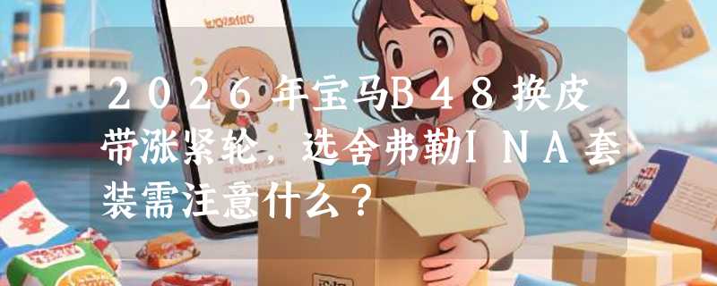 2026年宝马B48换皮带涨紧轮，选舍弗勒INA套装需注意什么？