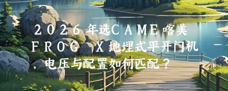 2026年选CAME喀美FROG X地埋式平开门机，电压与配置如何匹配？