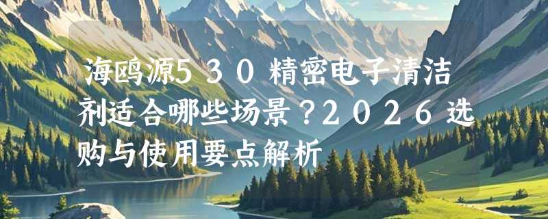 海鸥源530精密电子清洁剂适合哪些场景？2026选购与使用要点解析