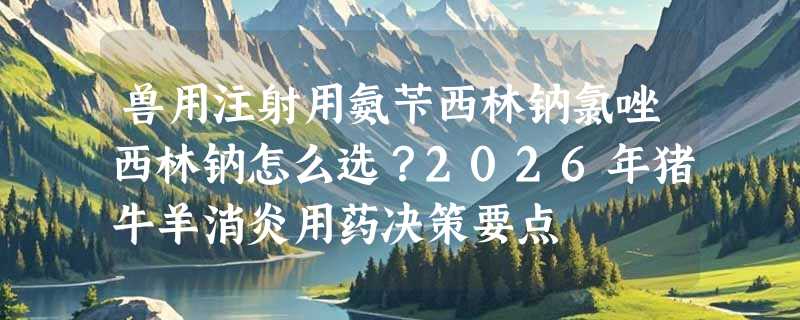 兽用注射用氨苄西林钠氯唑西林钠怎么选？2026年猪牛羊消炎用药决策要点