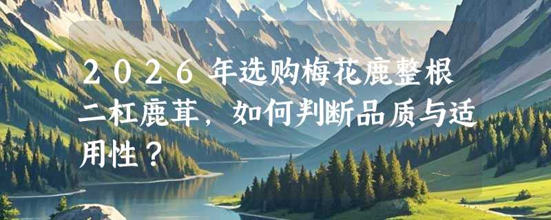 2026年选购梅花鹿整根二杠鹿茸，如何判断品质与适用性？
