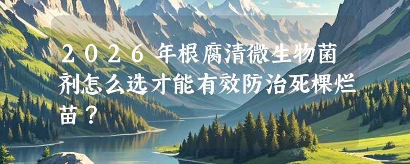 2026年根腐清微生物菌剂怎么选才能有效防治死棵烂苗？