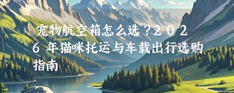 宠物航空箱怎么选？2026年猫咪托运与车载出行选购指南