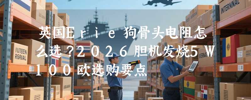 英国Erie狗骨头电阻怎么选？2026胆机发烧5W100欧选购要点