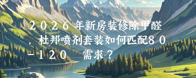 2026年新房装修除甲醛，杜邦喷剂套装如何匹配80-120㎡需求？