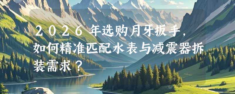 2026年选购月牙扳手，如何精准匹配水表与减震器拆装需求？