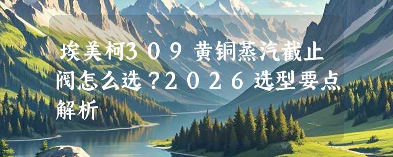 埃美柯309黄铜蒸汽截止阀怎么选？2026选型要点解析