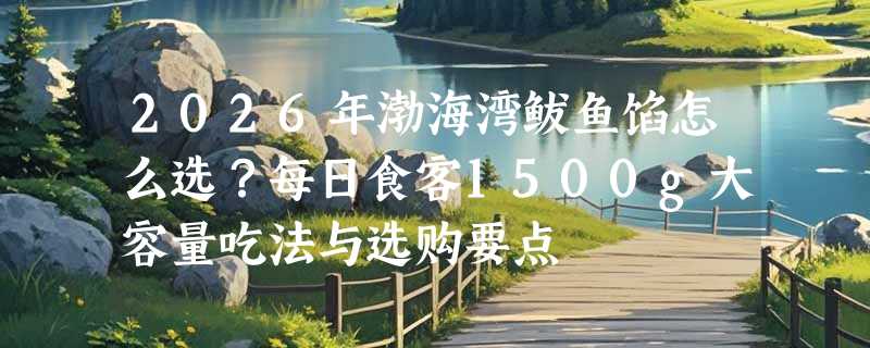 2026年渤海湾鲅鱼馅怎么选？每日食客1500g大容量吃法与选购要点