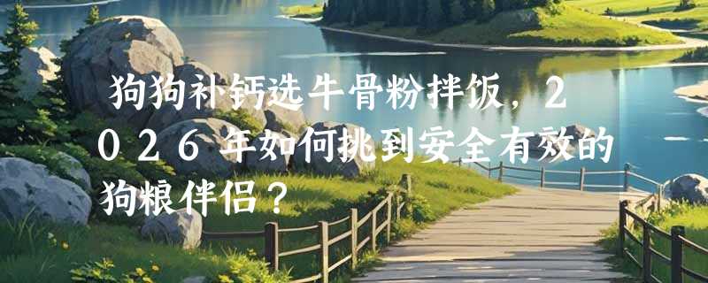 狗狗补钙选牛骨粉拌饭，2026年如何挑到安全有效的狗粮伴侣？