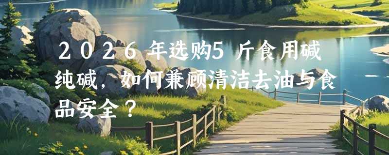 2026年选购5斤食用碱纯碱，如何兼顾清洁去油与食品安全？