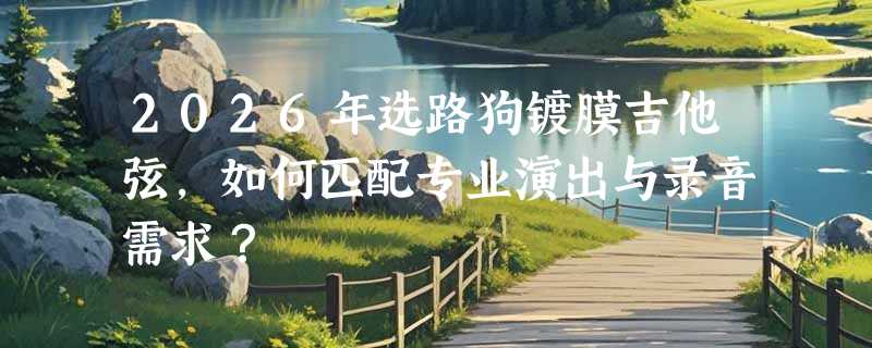 2026年选路狗镀膜吉他弦，如何匹配专业演出与录音需求？
