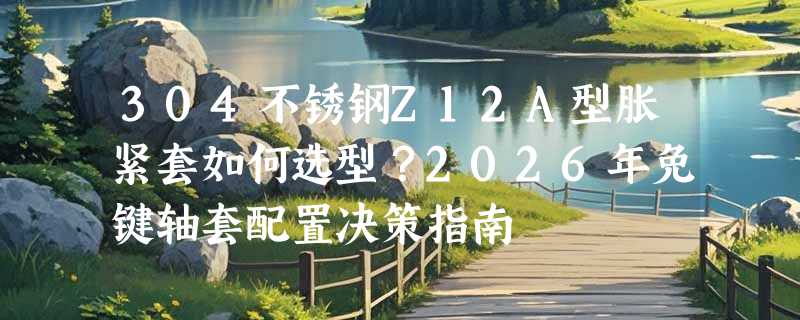 304不锈钢Z12A型胀紧套如何选型？2026年免键轴套配置决策指南