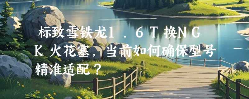 标致雪铁龙1.6T换NGK火花塞，当前如何确保型号精准适配？
