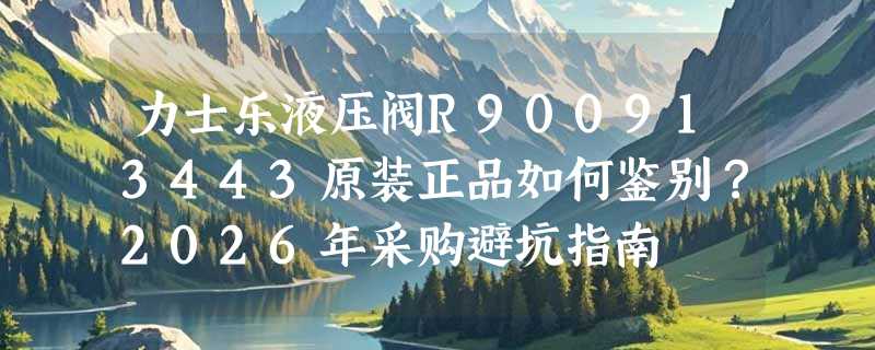 力士乐液压阀R900913443原装正品如何鉴别？2026年采购避坑指南