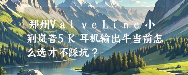 郑州ValveLine小荆岚音5K耳机输出牛当前怎么选才不踩坑？