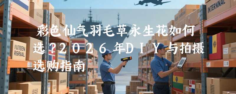 彩色仙气羽毛草永生花如何选？2026年DIY与拍摄选购指南