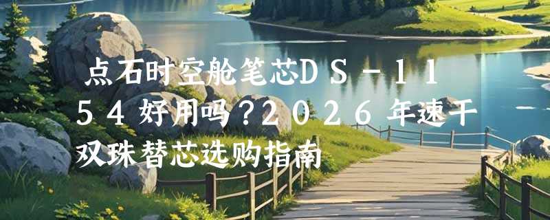 点石时空舱笔芯DS-1154好用吗？2026年速干双珠替芯选购指南