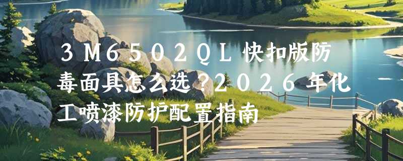 3M6502QL快扣版防毒面具怎么选？2026年化工喷漆防护配置指南