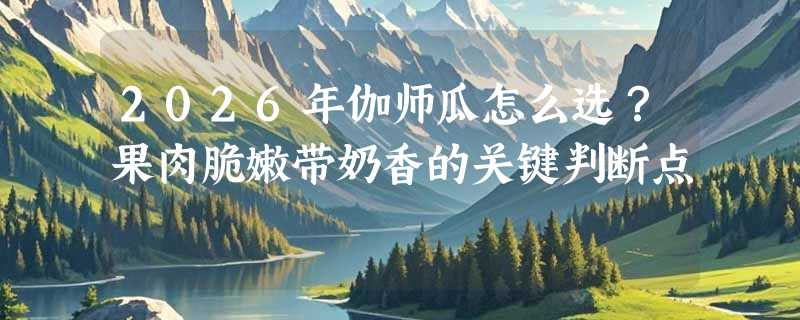 2026年伽师瓜怎么选？果肉脆嫩带奶香的关键判断点