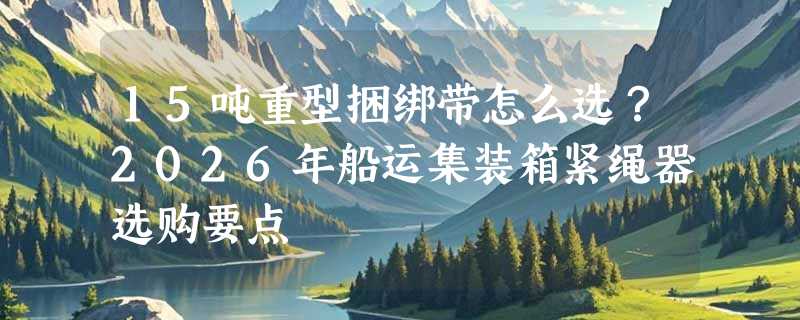 15吨重型捆绑带怎么选？2026年船运集装箱紧绳器选购要点