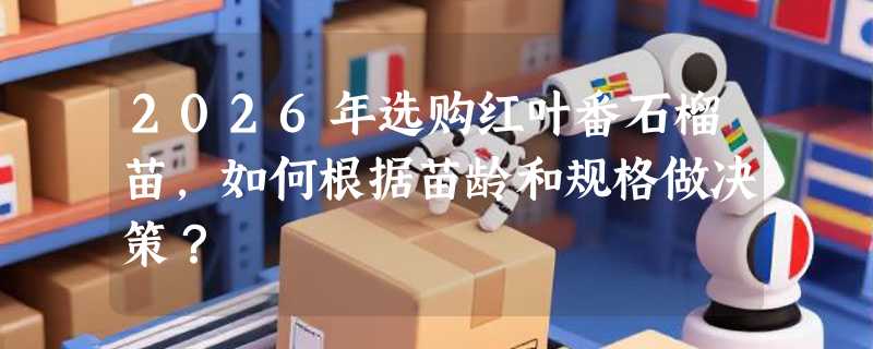 2026年选购红叶番石榴苗，如何根据苗龄和规格做决策？