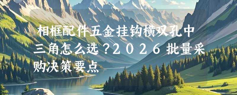相框配件五金挂钩横双孔中三角怎么选？2026批量采购决策要点