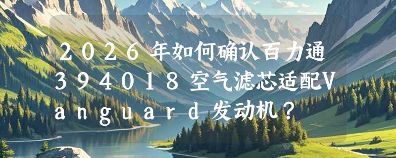 2026年如何确认百力通394018空气滤芯适配Vanguard发动机？