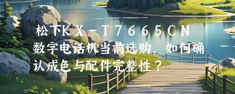 松下KX-T7665CN数字电话机当前选购，如何确认成色与配件完整性？